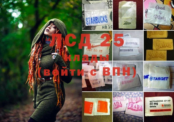 ешки Вязьма